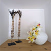 Sculpture en coquillage et plume